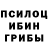 Псилоцибиновые грибы MAGIC MUSHROOMS Eric Torgersen