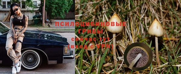 прущие крисы Абинск
