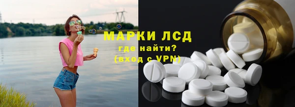 индика Алексин