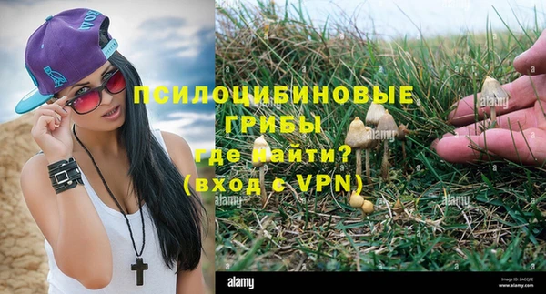 ГАЛЛЮЦИНОГЕННЫЕ ГРИБЫ Абдулино