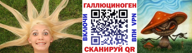 Галлюциногенные грибы Magic Shrooms  Иннополис 